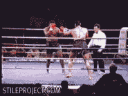 foolcontact